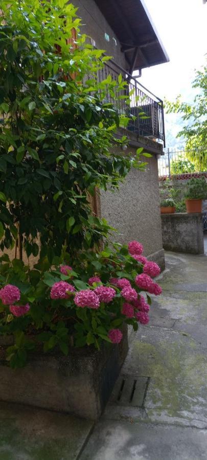 La Casetta Di Vassena Oliveto Lario Exterior foto